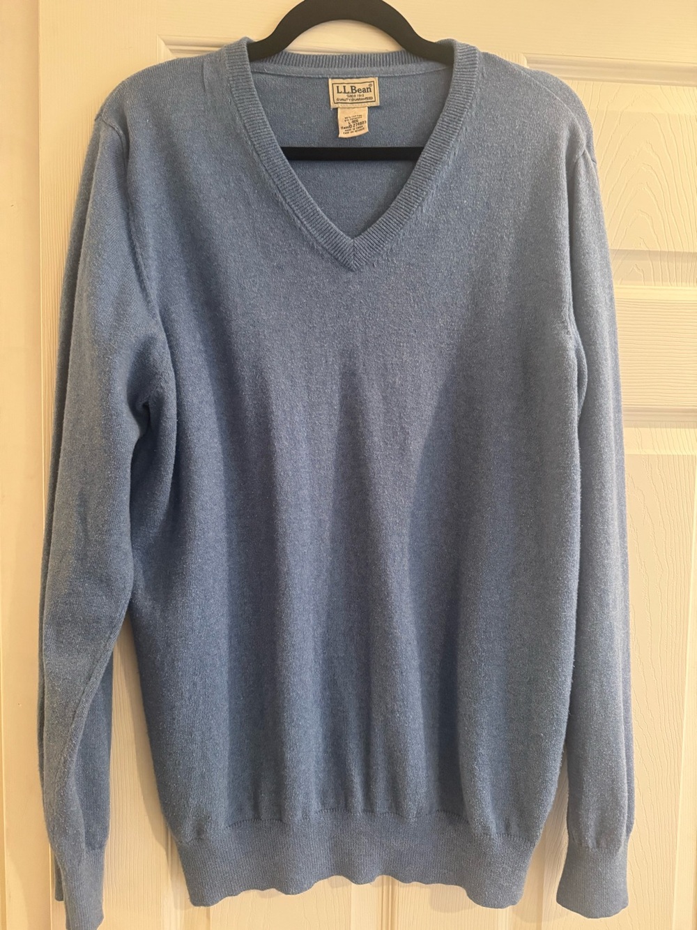 L.L. Bean Men’s V-Neck Sweater in Light Blue